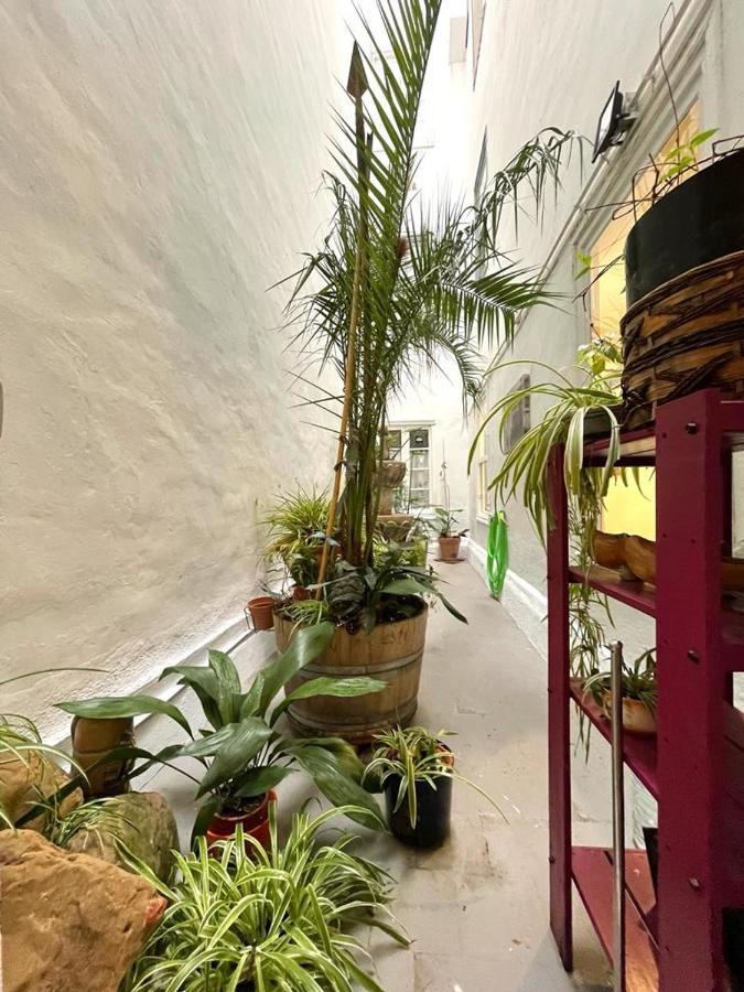 Appartamento Enorme Piso En El Centro Perfecto Para Grupos Logroño Esterno foto